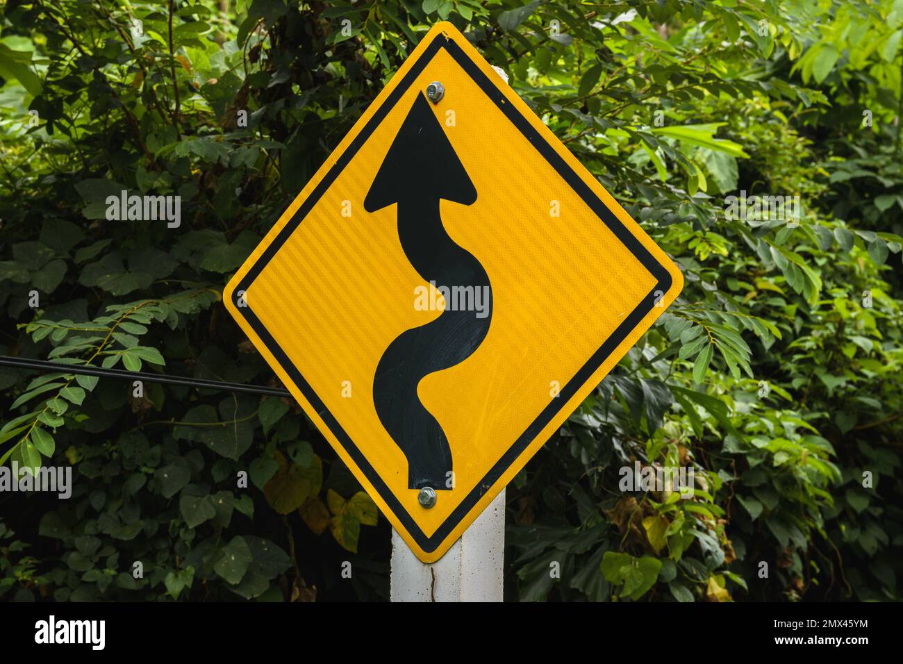 Yellow curves warning sign with green leaves in the background. Ko Lanta, Krabi, Thailand. Stock Photo