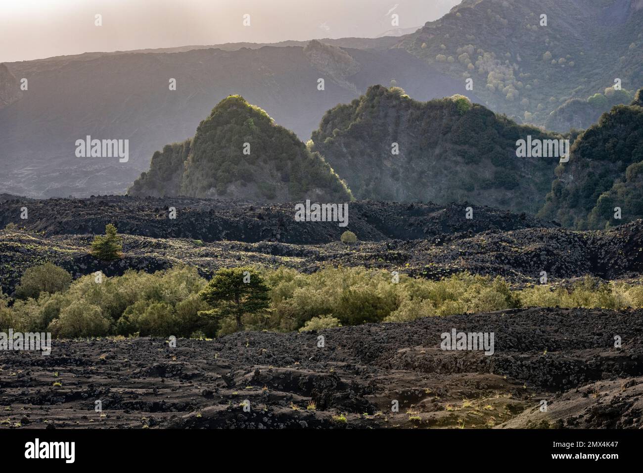 The wild and desolate volcanic lava landscape of the vast Valle del Bove on Mount Etna, Sicily, Italy Stock Photo