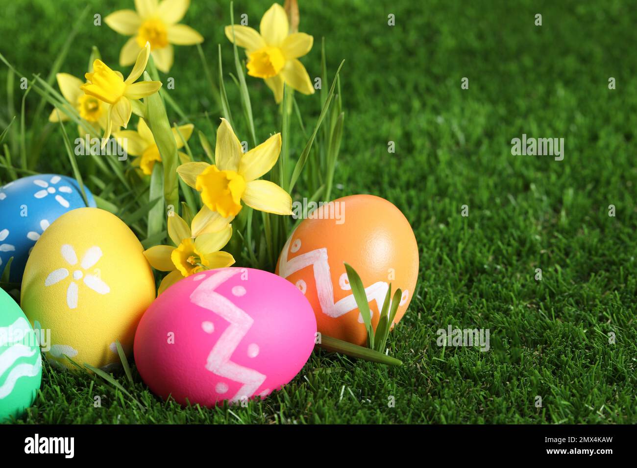 Colorful Easter eggs and daffodil flowers in green grass Stock Photo ...