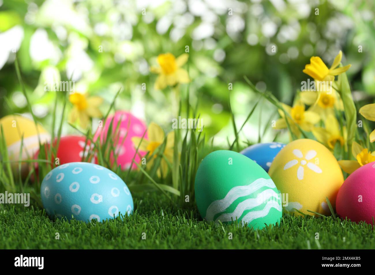 Colorful Easter eggs and daffodil flowers in green grass Stock Photo ...