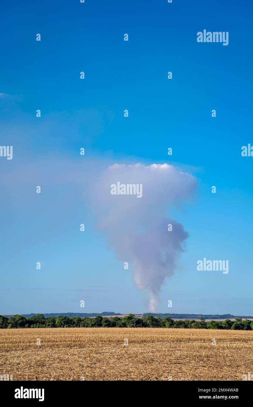 Drone aerial view of amazon deforestation. Illegal forest fire in soybean and corn farm. Mato Grosso, Brazil. Climate change, global warming. Stock Photo