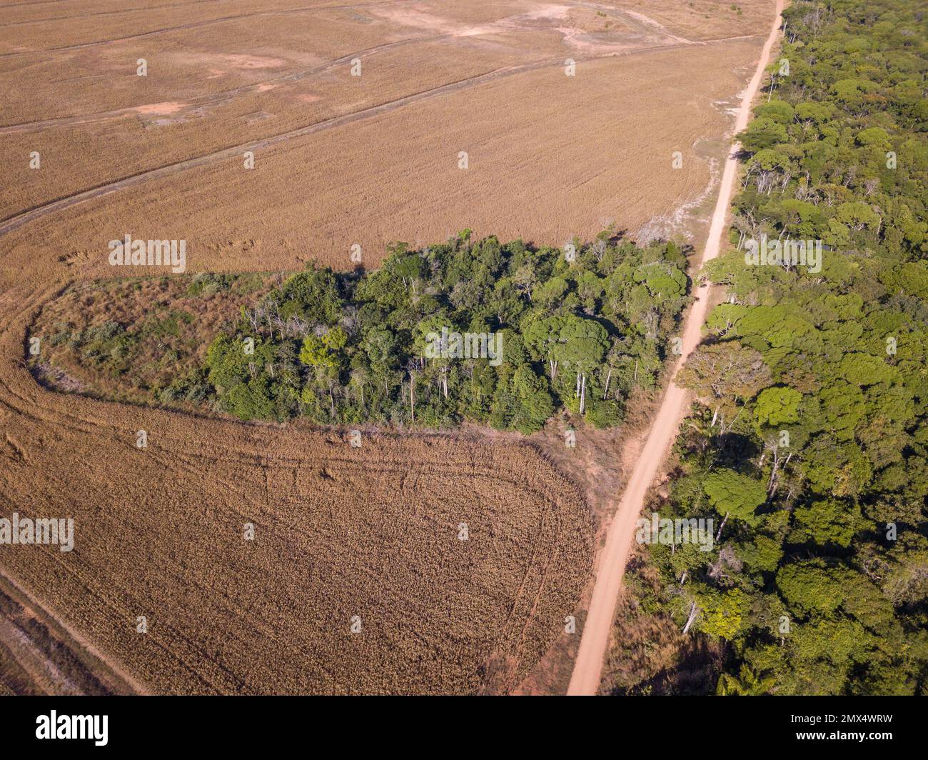 Satellite view deforestation in rondonia brazil hi-res stock photography  and images - Alamy