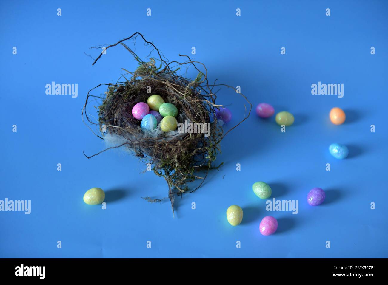 Tiny Easter eggs against blue background.  Eggs in real bird's nest and on table. Stock Photo