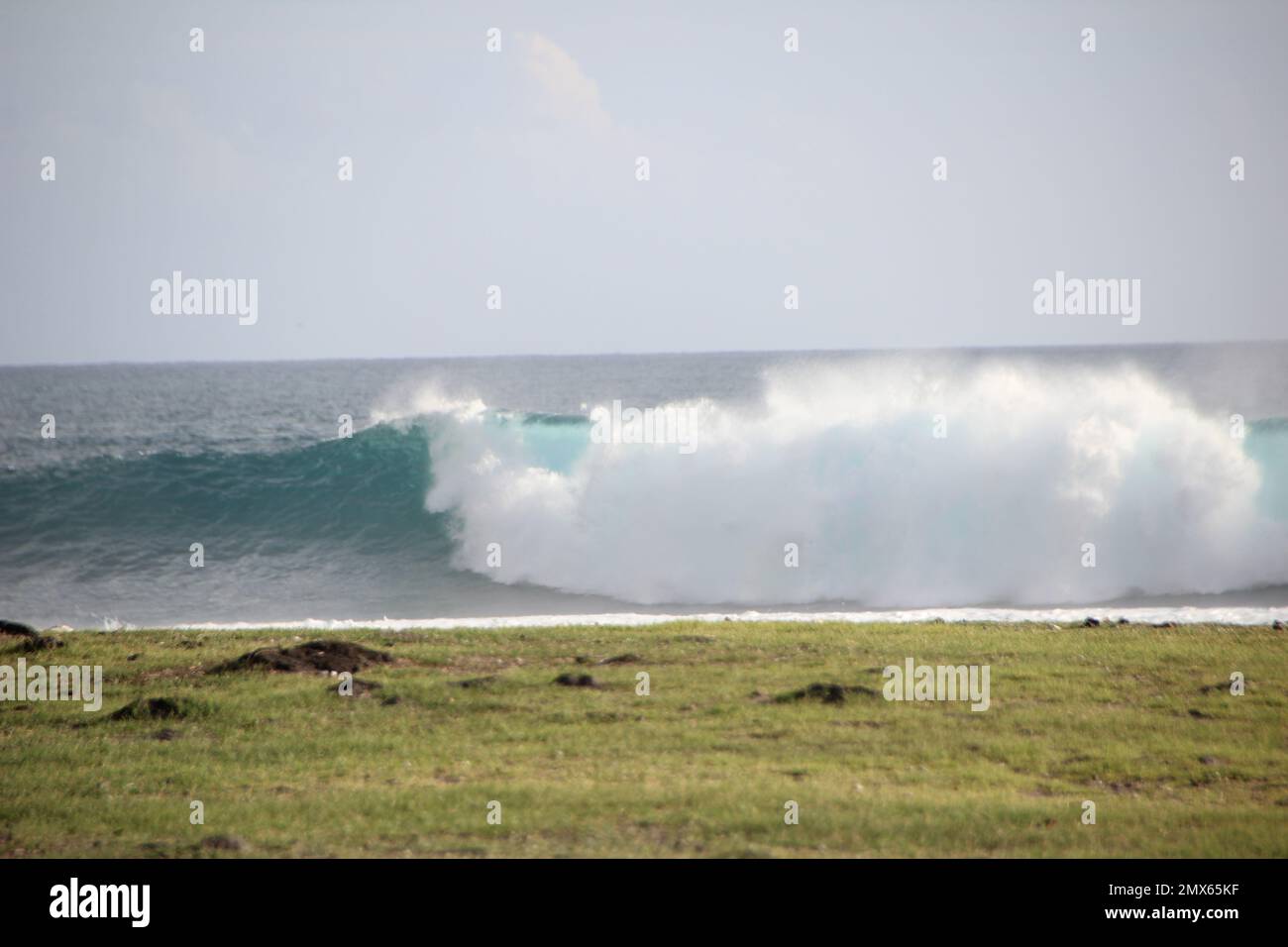 wave breaking at the beach Stock Photo