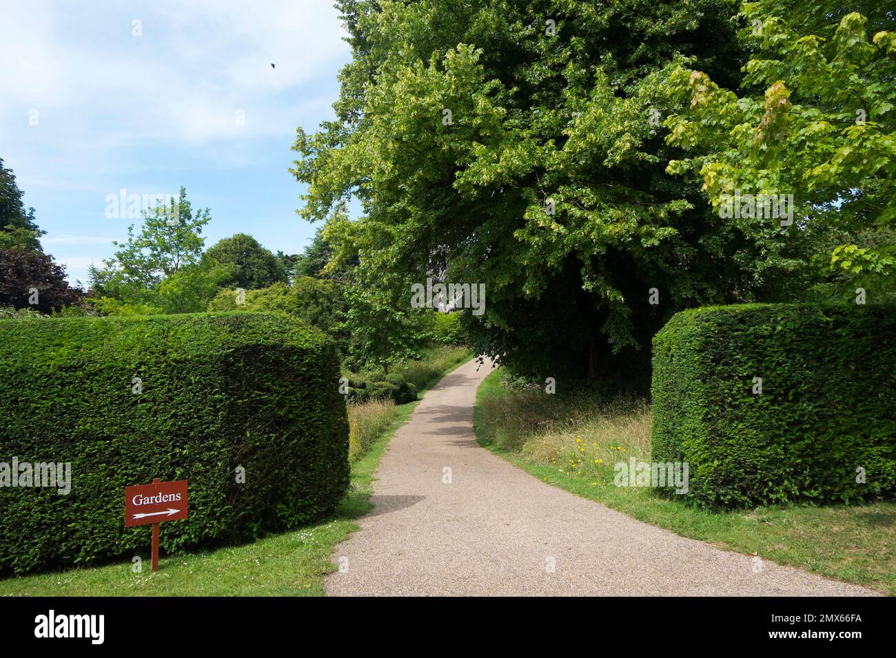 A path leading through the trees and long grasses to the formal gardens at Arundel Castle, West Sussex, UK Stock Photo