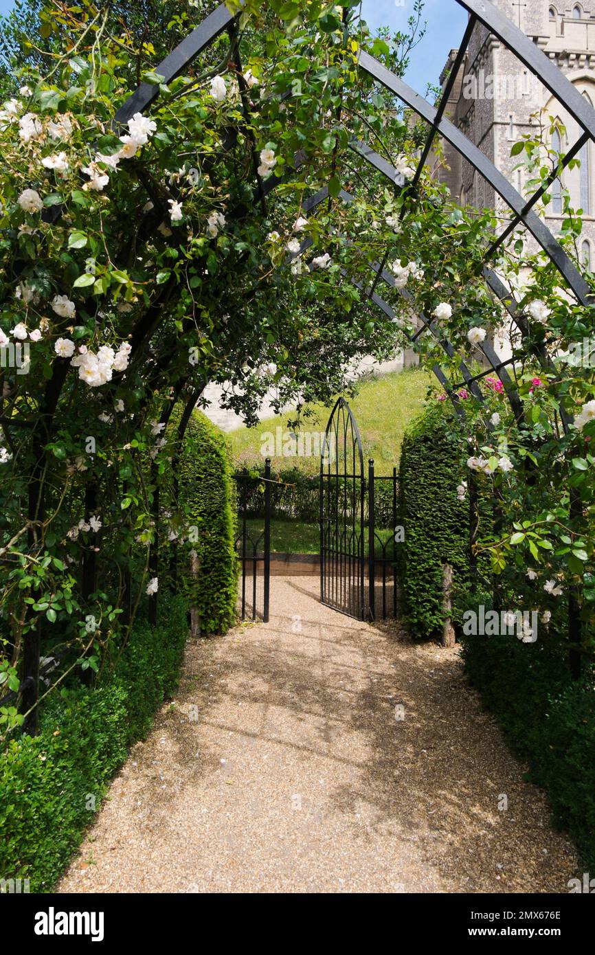 Gothic styled archways are entwined with the pretty climbing roses Adelaide d’Orléans in the formal Rose Garden at Arundel Castle, West Sussex, UK Stock Photo