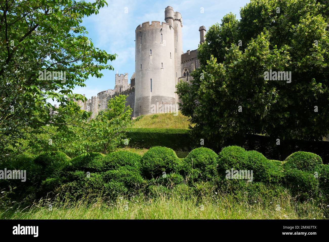 The Japanese art of cloud pruning known as Niwaki, has been used to shape the box hedging in the grounds around Arundel Castle, West Sussex, UK Stock Photo