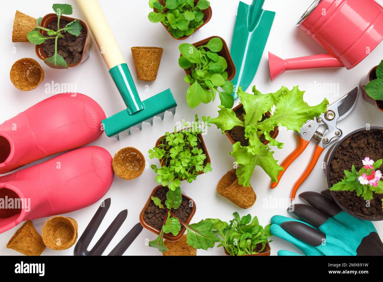 The concept of spring work and gardening. Tools and plants on the table. Stock Photo