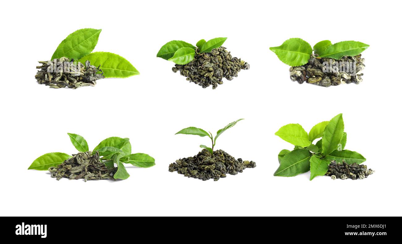 Set of dry and fresh tea leaves on white background Stock Photo - Alamy