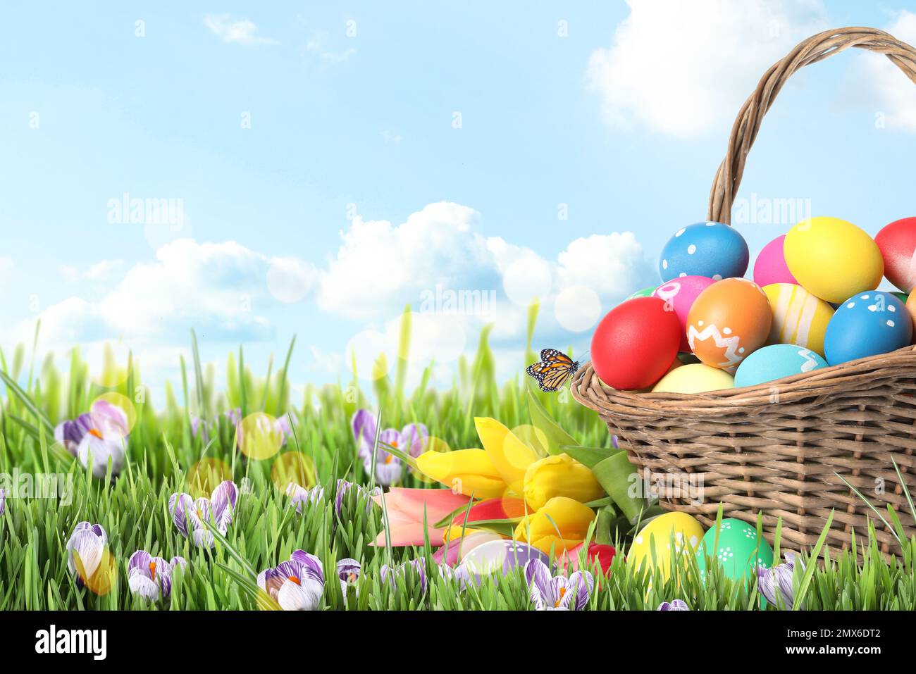 Wicker basket with Easter eggs in green grass against blue sky. Space for text Stock Photo