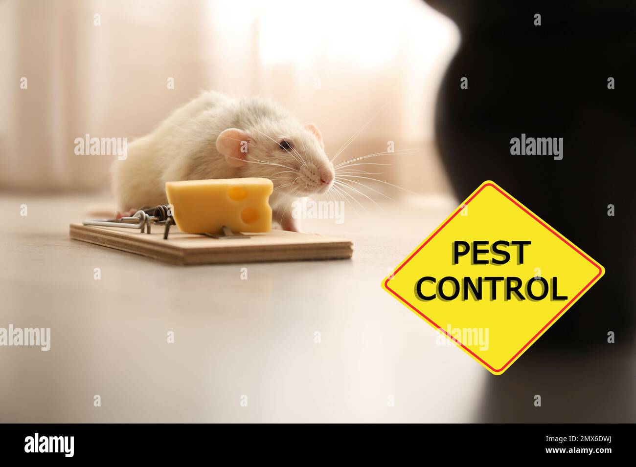 A24 Rat & Mouse Trap User Submitted Videos, Rat & Mouse Trap In Action