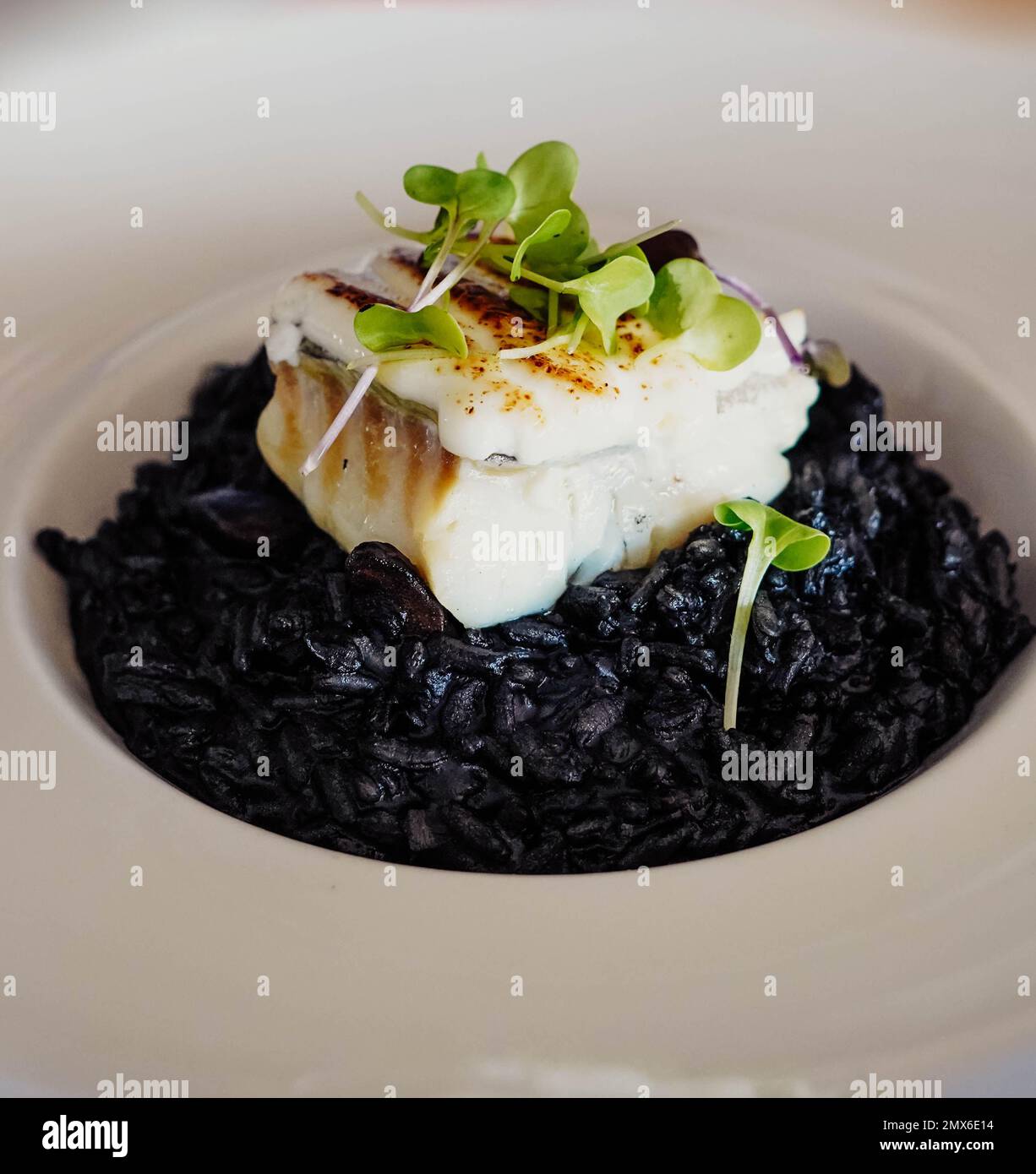 Black rice with cuttlefish and squid ink Stock Photo - Alamy