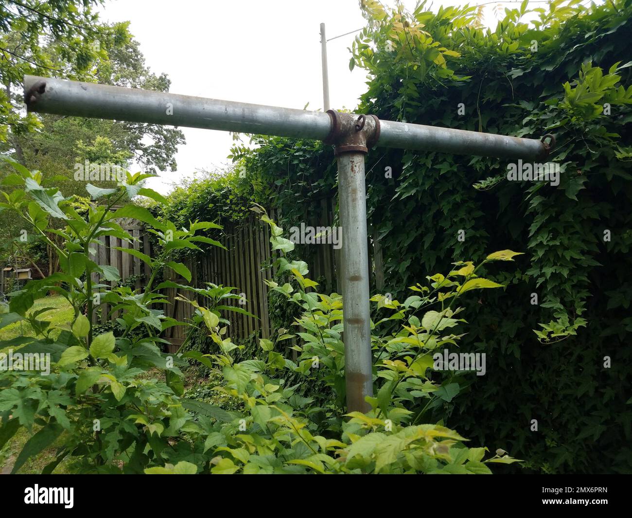 old antique metal clothesline with plants in the backyard is a lovely