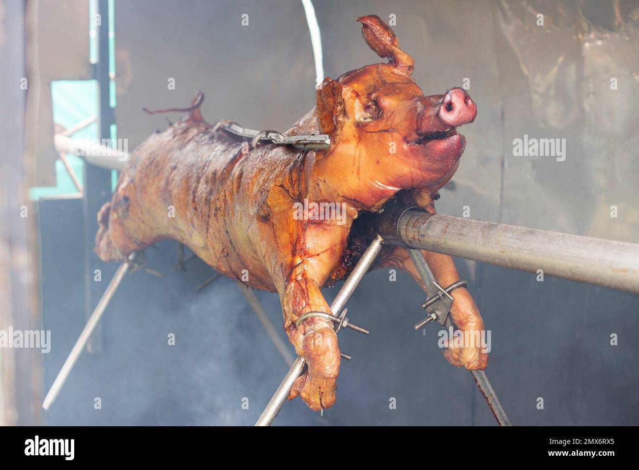 The whole pig grilled on a skewer. Roasted pork meat at the food festival Stock Photo Alamy
