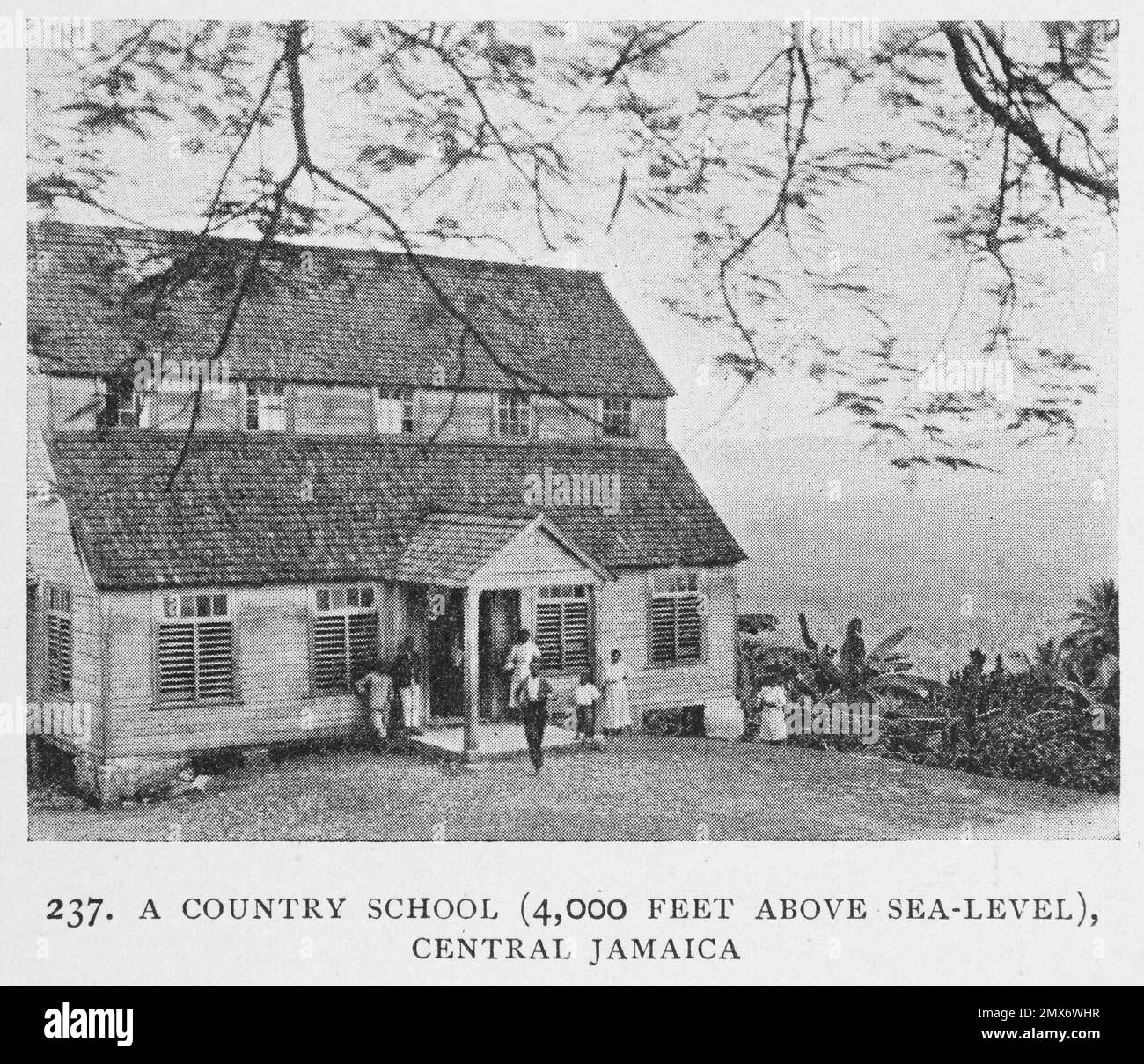 A Country School [4,000 feet above sea - level], Central Jamaica