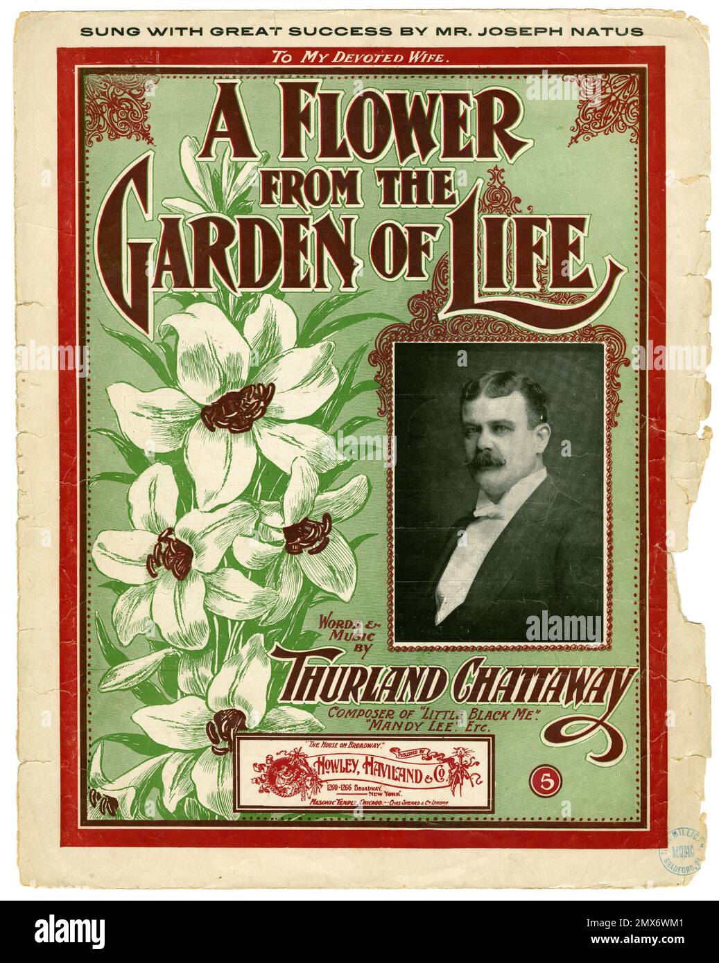 A flower from the garden of life Additional title She is a flow'r from