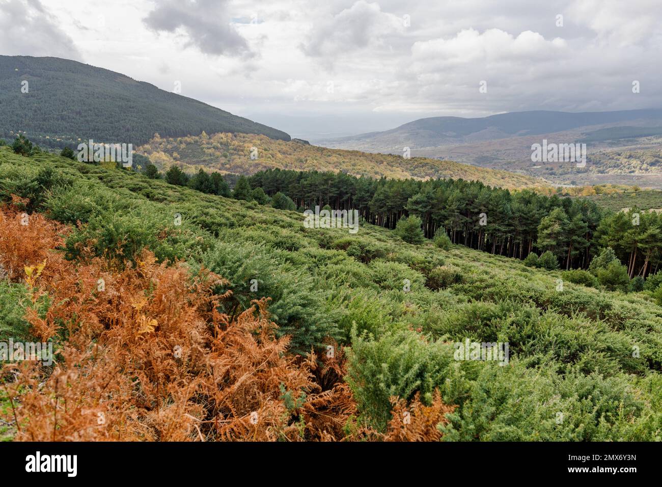 View of the Sierra de Guadarrama with stripes of ocher colors and different shades of green and a cloudy stormy sky. Stock Photo