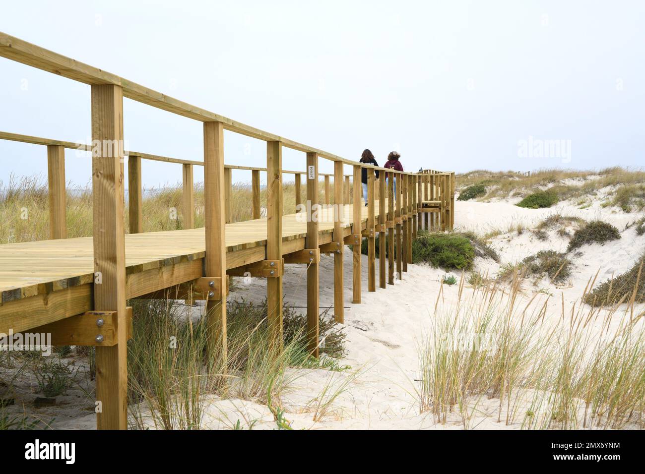 Barra (Aveiro coast), dunes and wooden walkway. Centro region, Portugal. Stock Photo