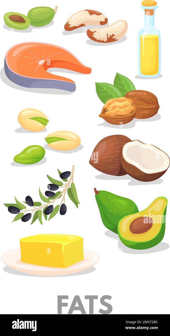 Fats healthy macronutrients chart. Cartoon food icon isolated on white ...