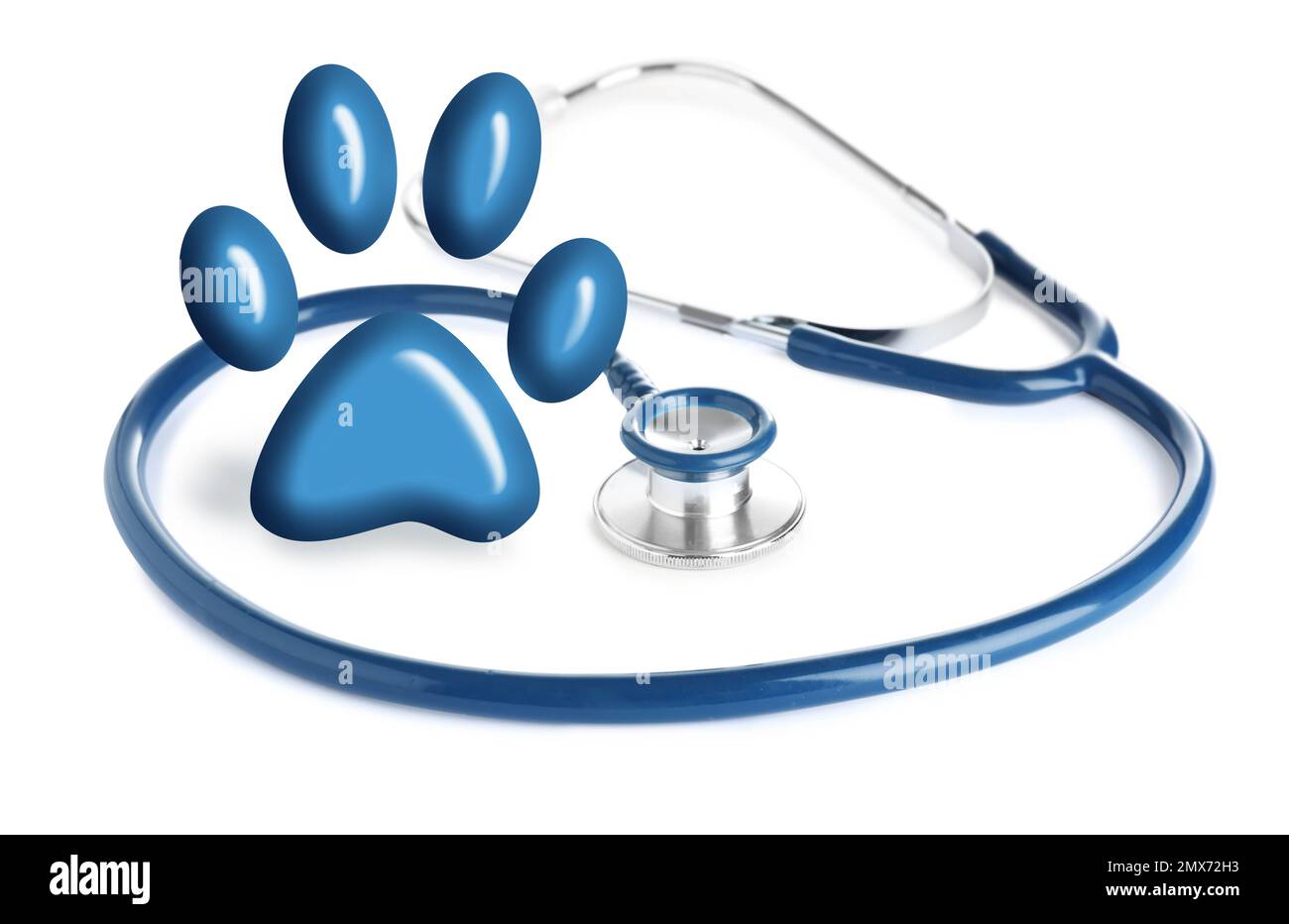 Stethoscope and animal paw on white background Stock Photo Alamy