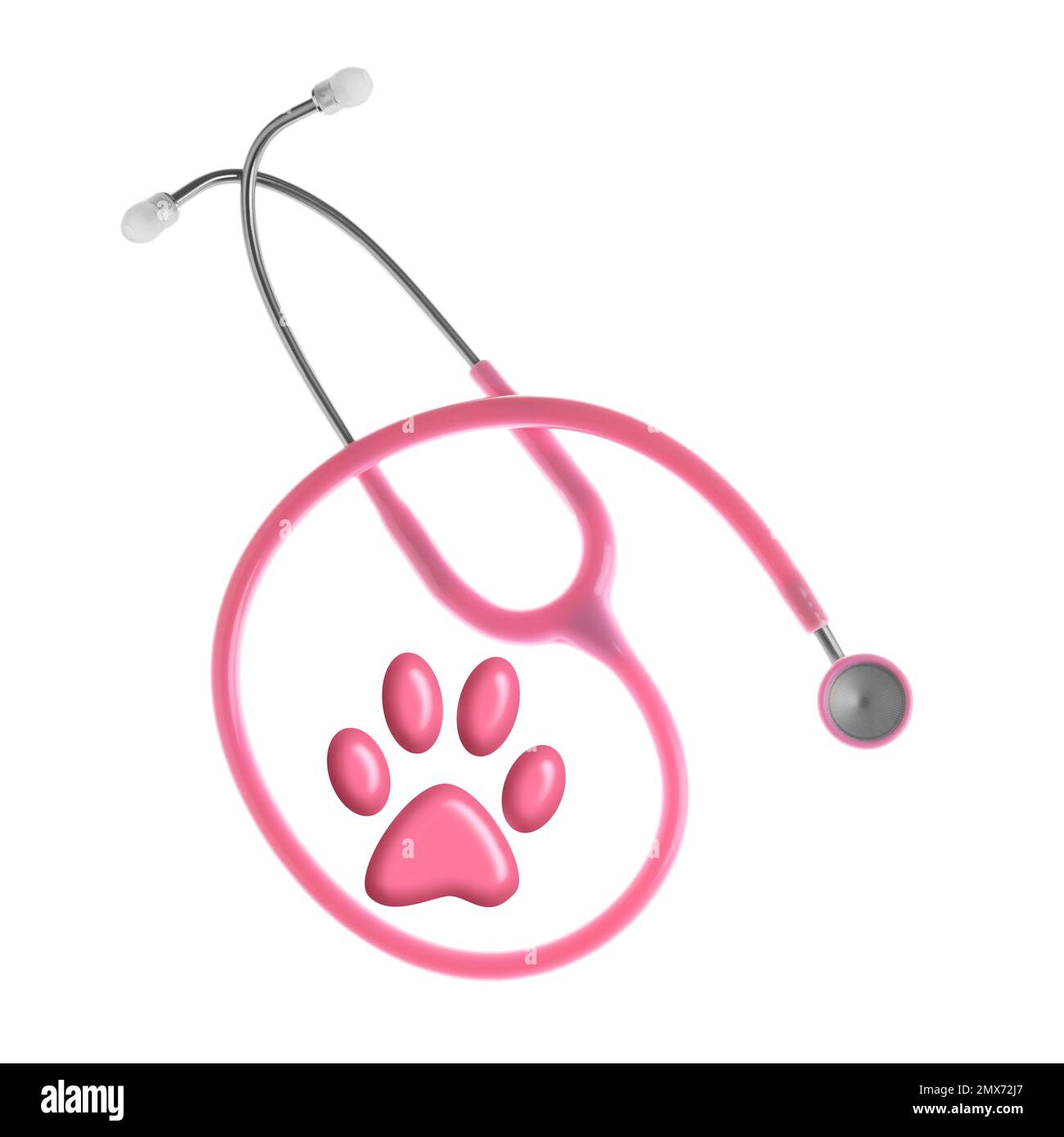 Stethoscope and animal paw on white background, top view Stock Photo