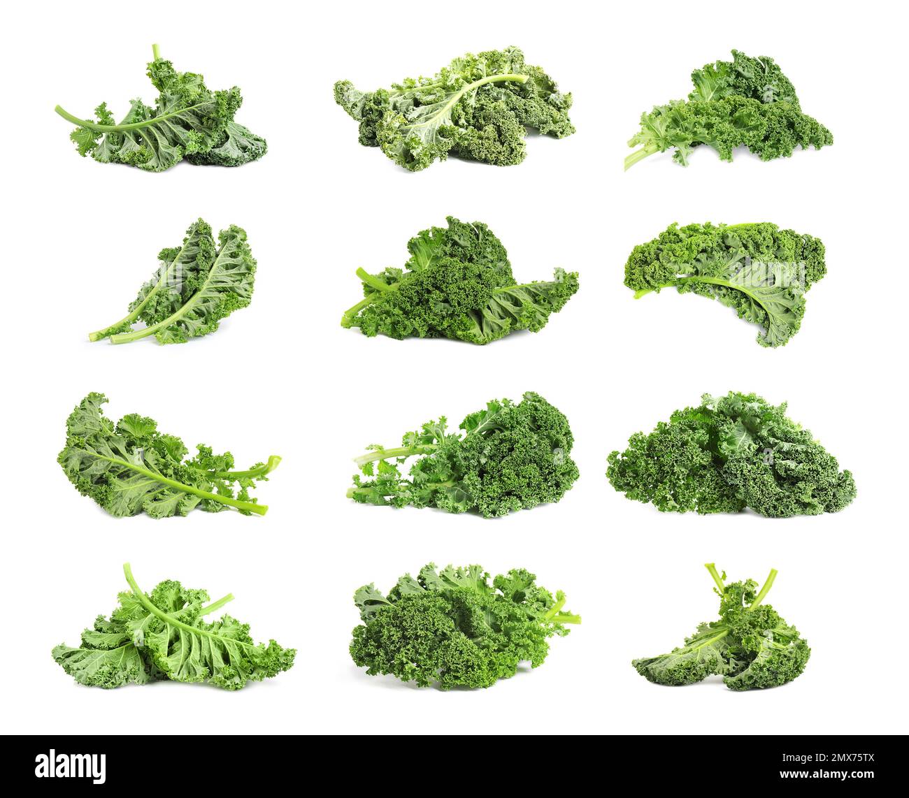 Set of fresh green kale leaves on white background Stock Photo Alamy