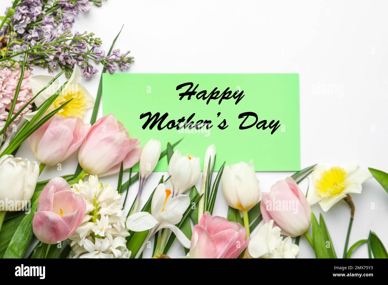 Card with text Happy Mother's Day and beautiful flowers on white ...