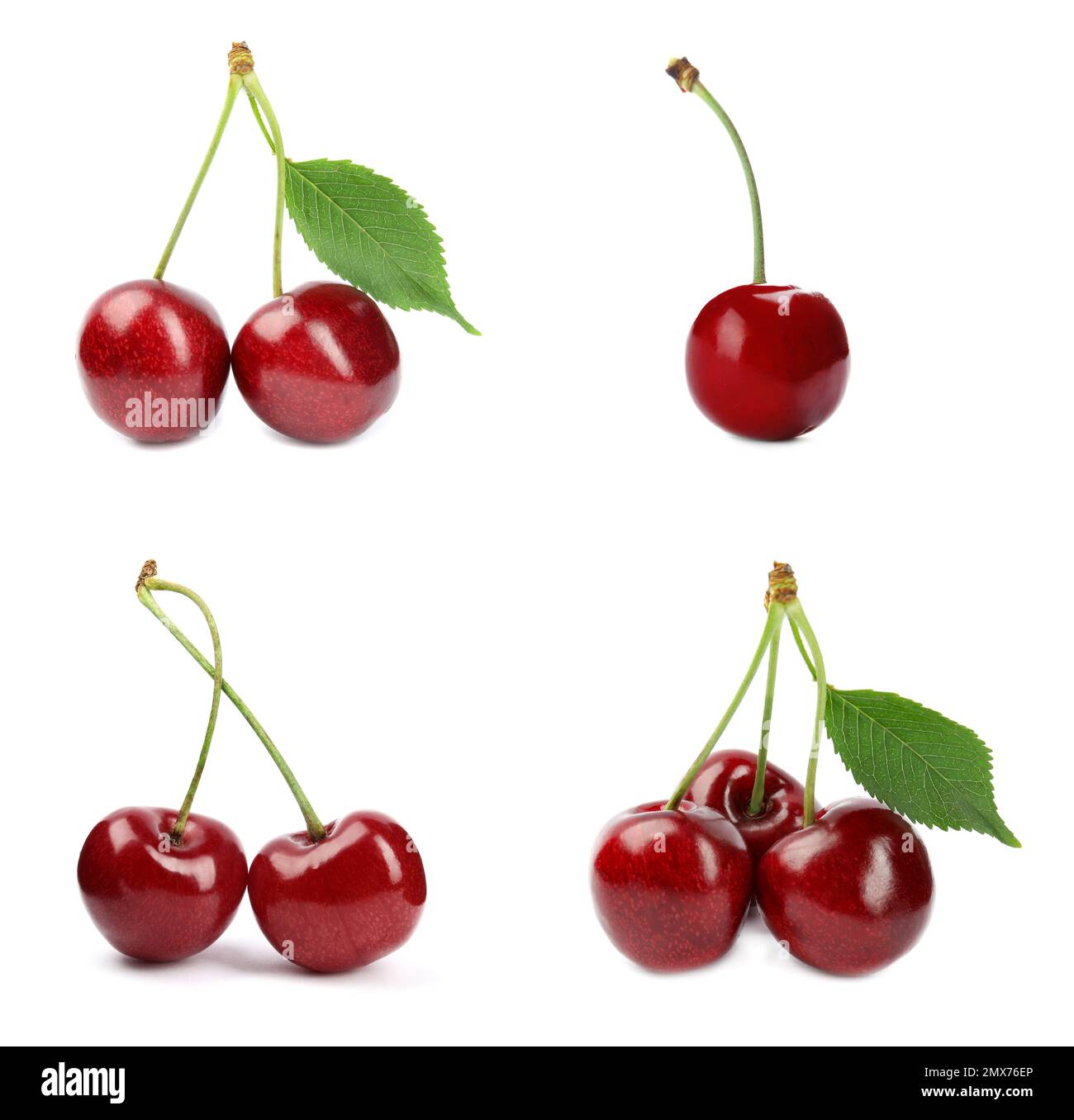 Set of ripe cherries on white background Stock Photo - Alamy