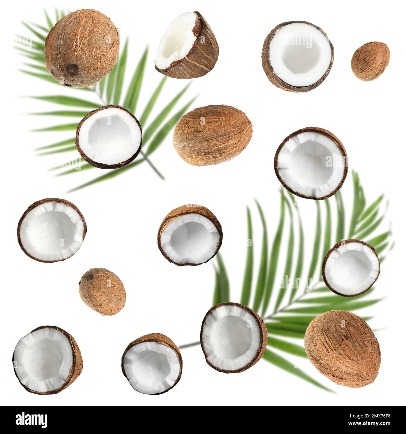 Set with ripe coconuts and palm leaves on white background, top view Stock Photo