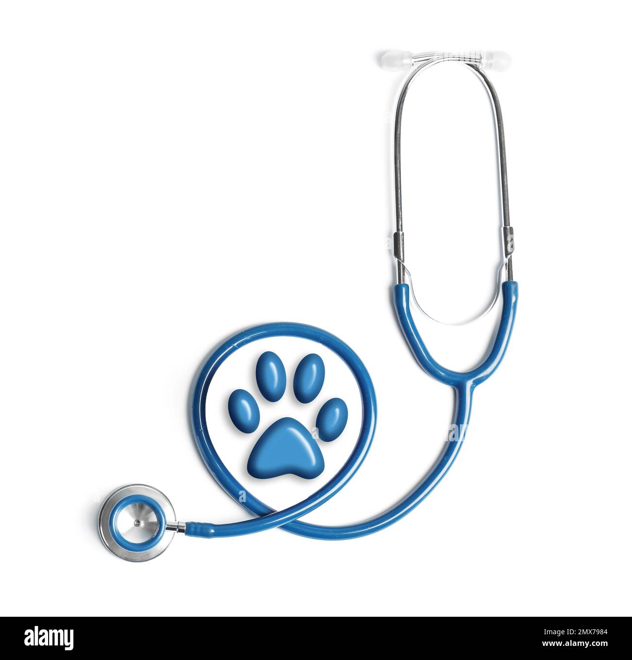Stethoscope and animal paw on white background, top view Stock Photo