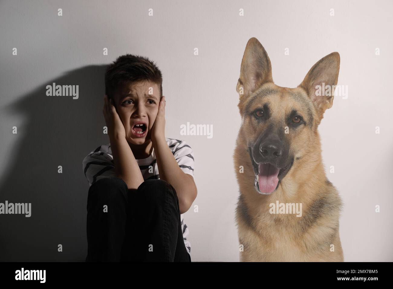 Scared little boy suffering from cynophobia on white background