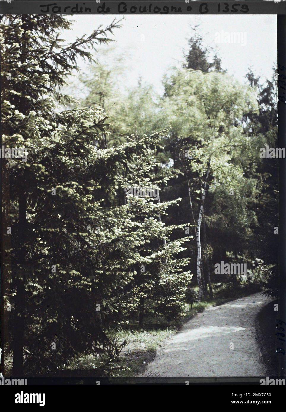 Property of Albert Kahn, Boulogne, France La Forêt Dorée Stock Photo Alamy
