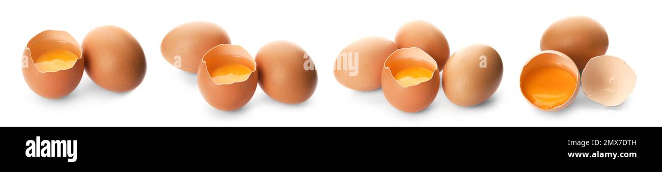 Set of raw chicken eggs on white background. Banner design Stock Photo ...