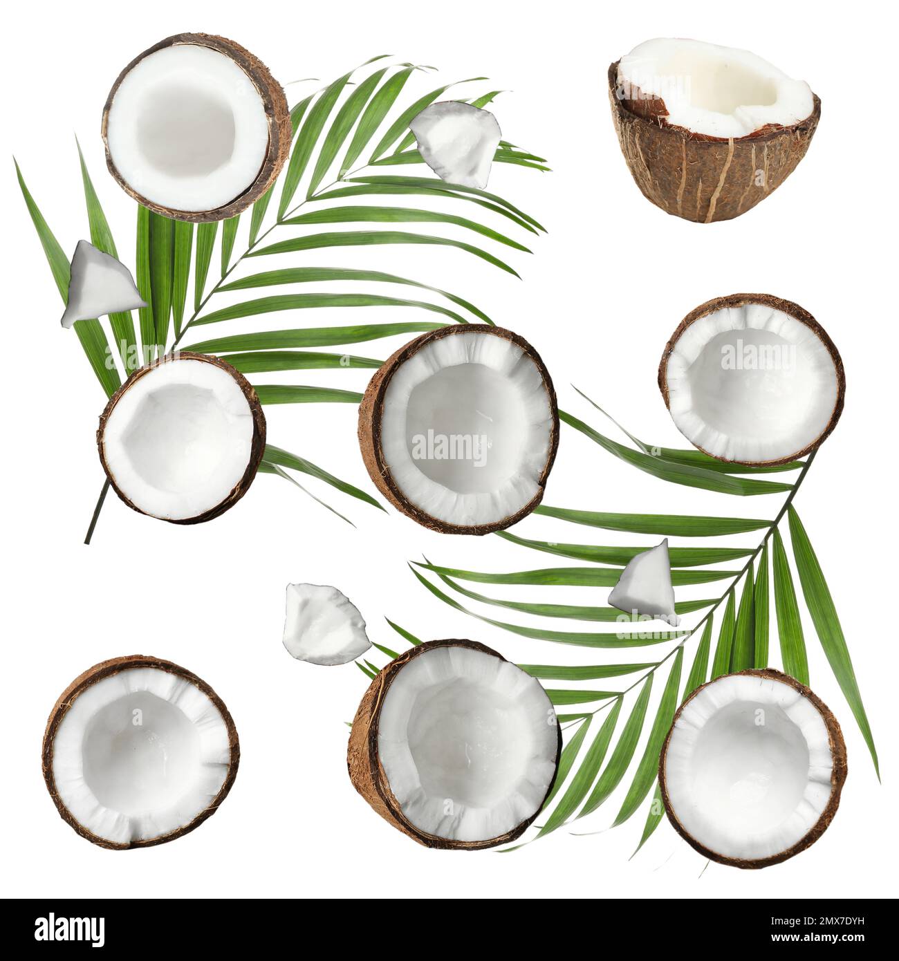 Set with ripe coconuts and palm leaves on white background, top view Stock Photo