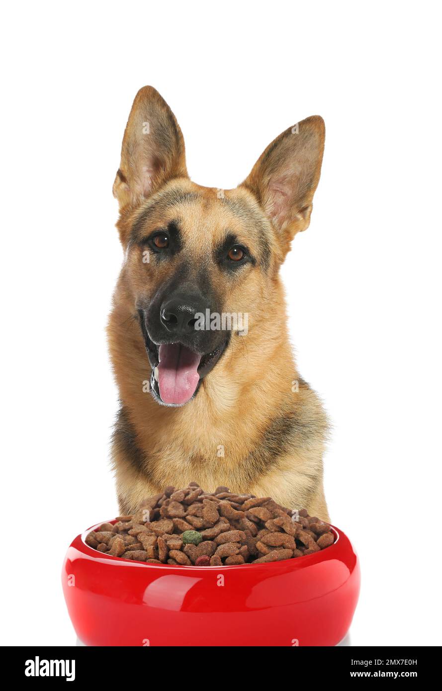 German shepherd dog bowls 2025