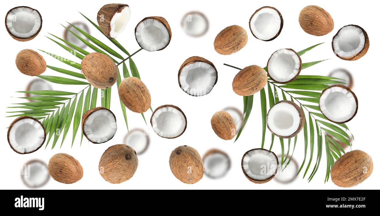 Set with ripe coconuts and palm leaves on white background, top view. Banner design Stock Photo