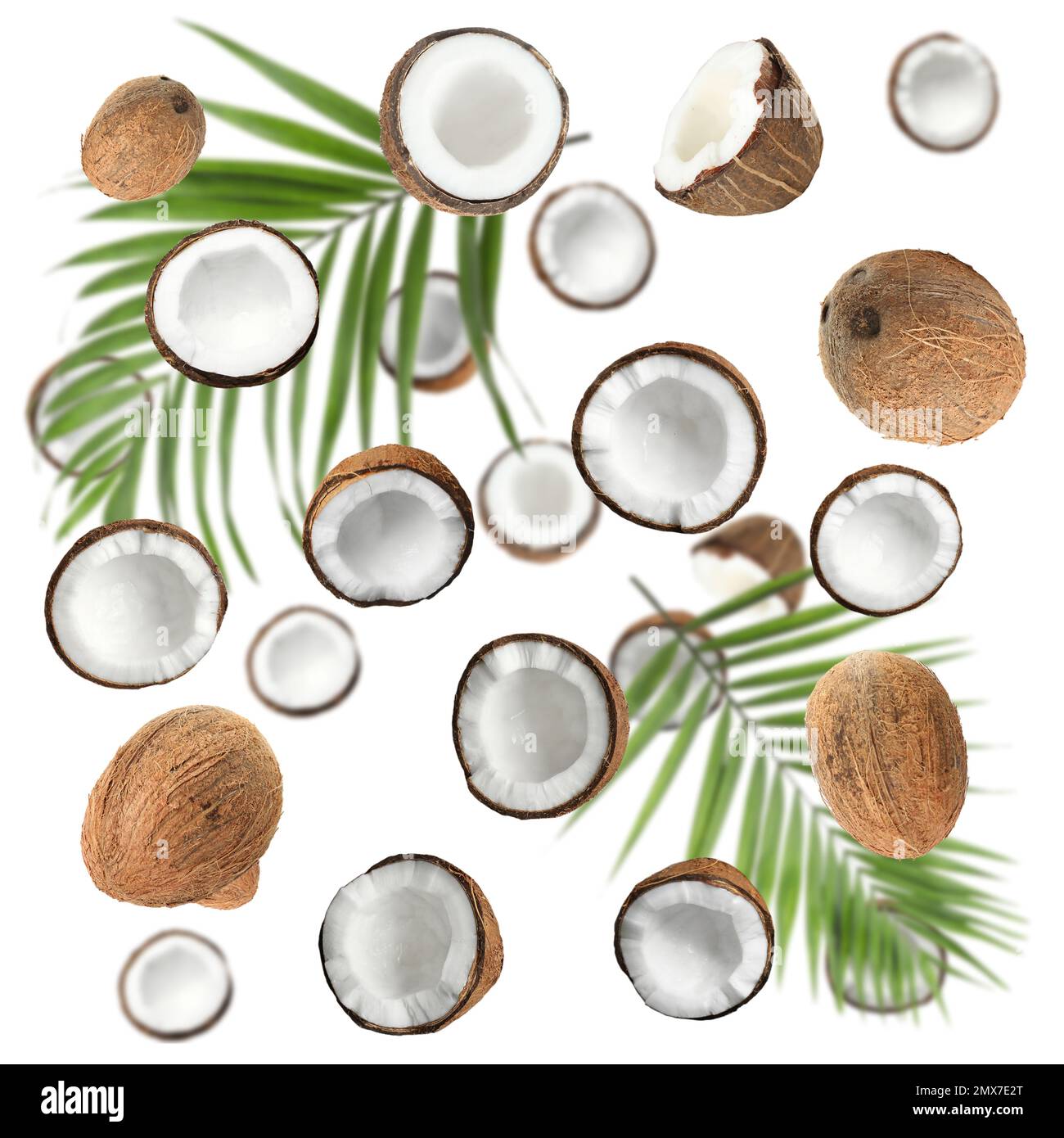 Set with ripe coconuts and palm leaves on white background, top view Stock Photo