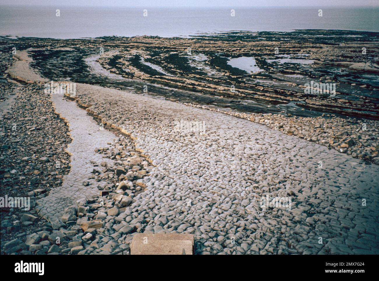Quintock, Rocky Jurrasic beach near Kilve in Somerset, England