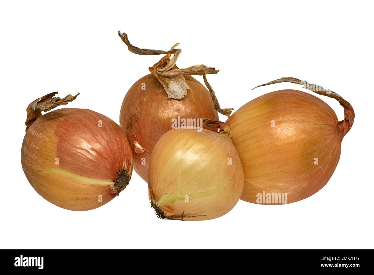 Image of yellow onion on white background Stock Photo Alamy