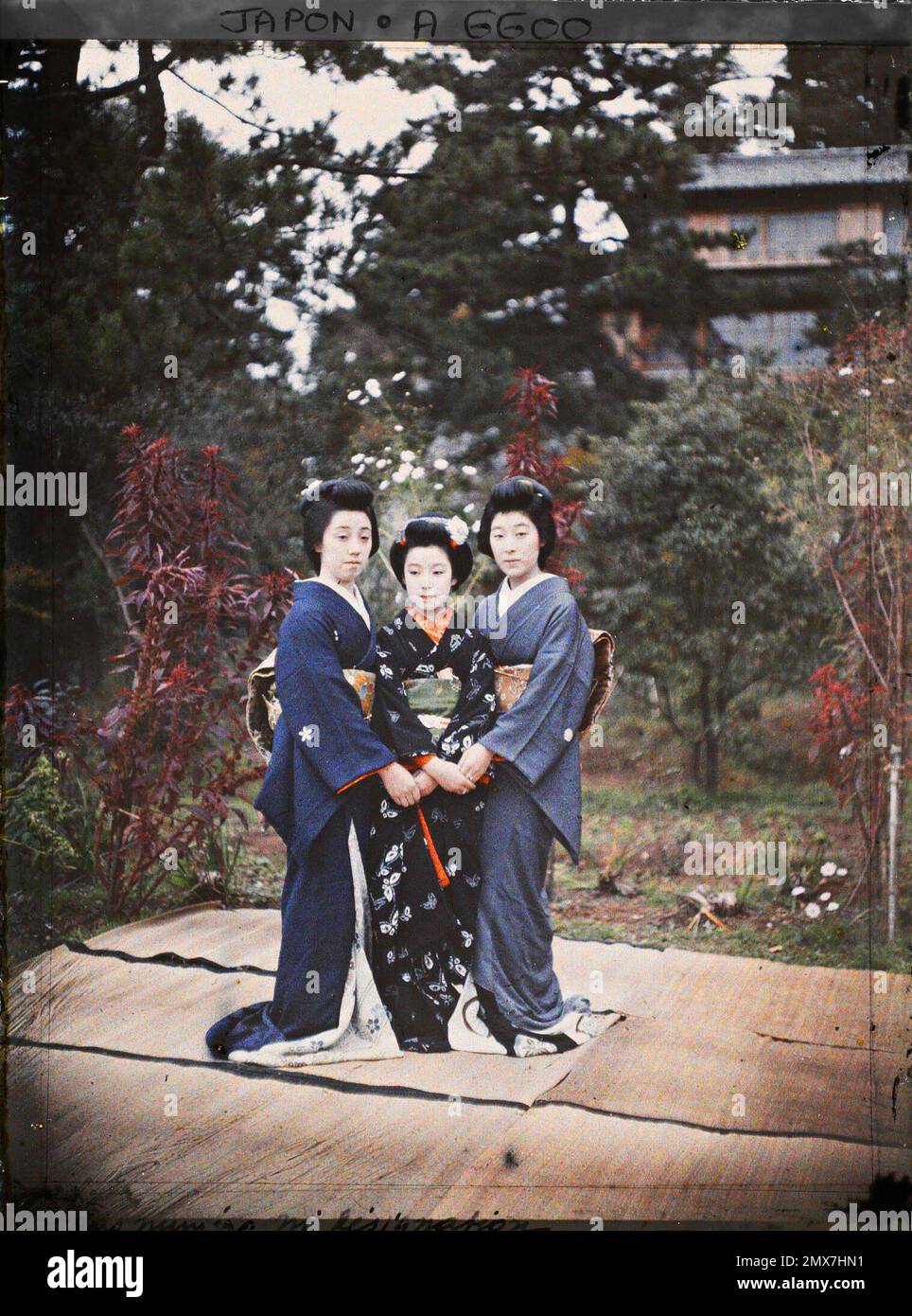Memoirs of a Geisha