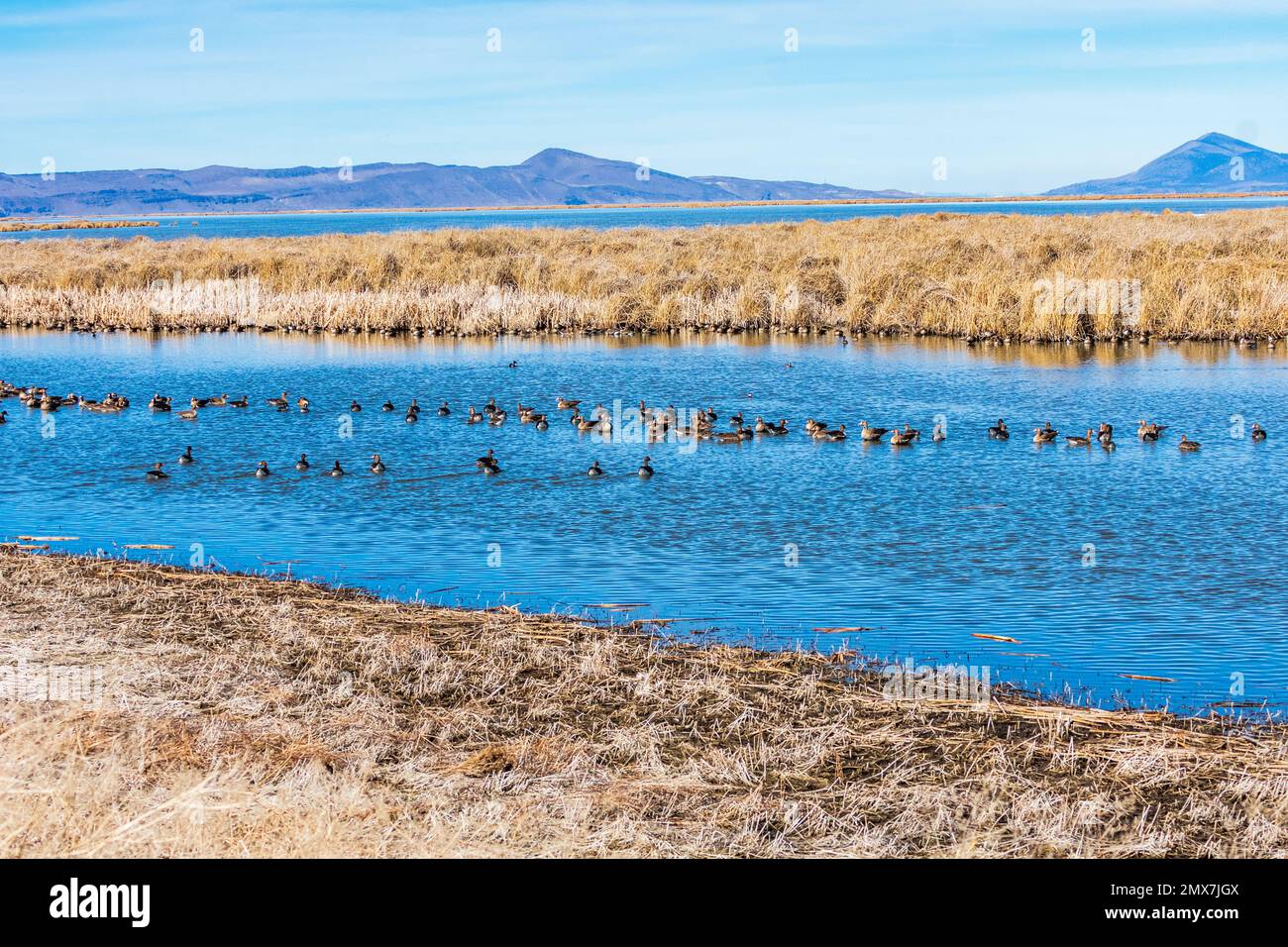 Tule lake drought hi-res stock photography and images - Alamy