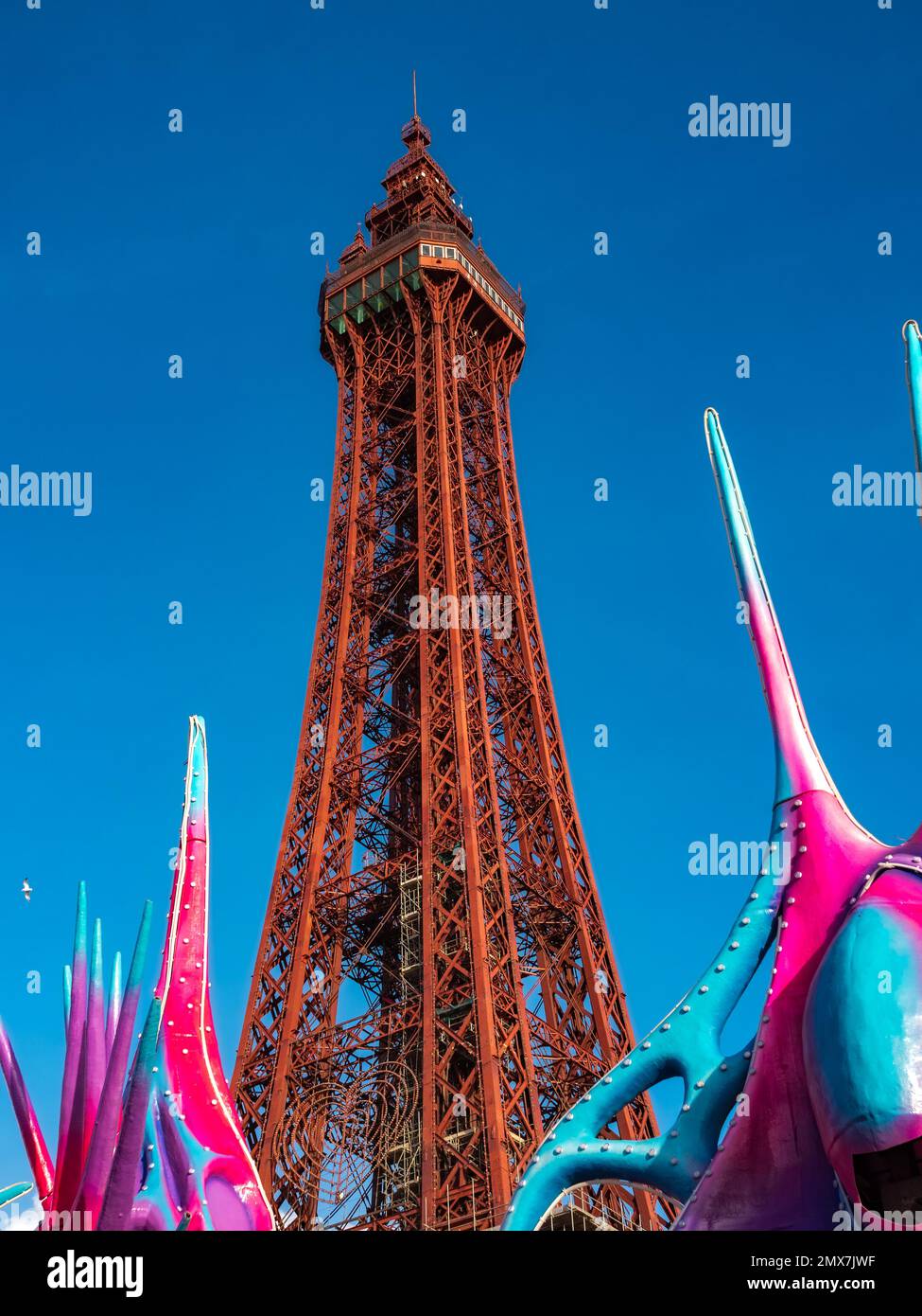 Looking up at Blackpool tower on a sunny blue sky day towering structure in the middle of town next to the beach the iconic shape is synonymous with B Stock Photo