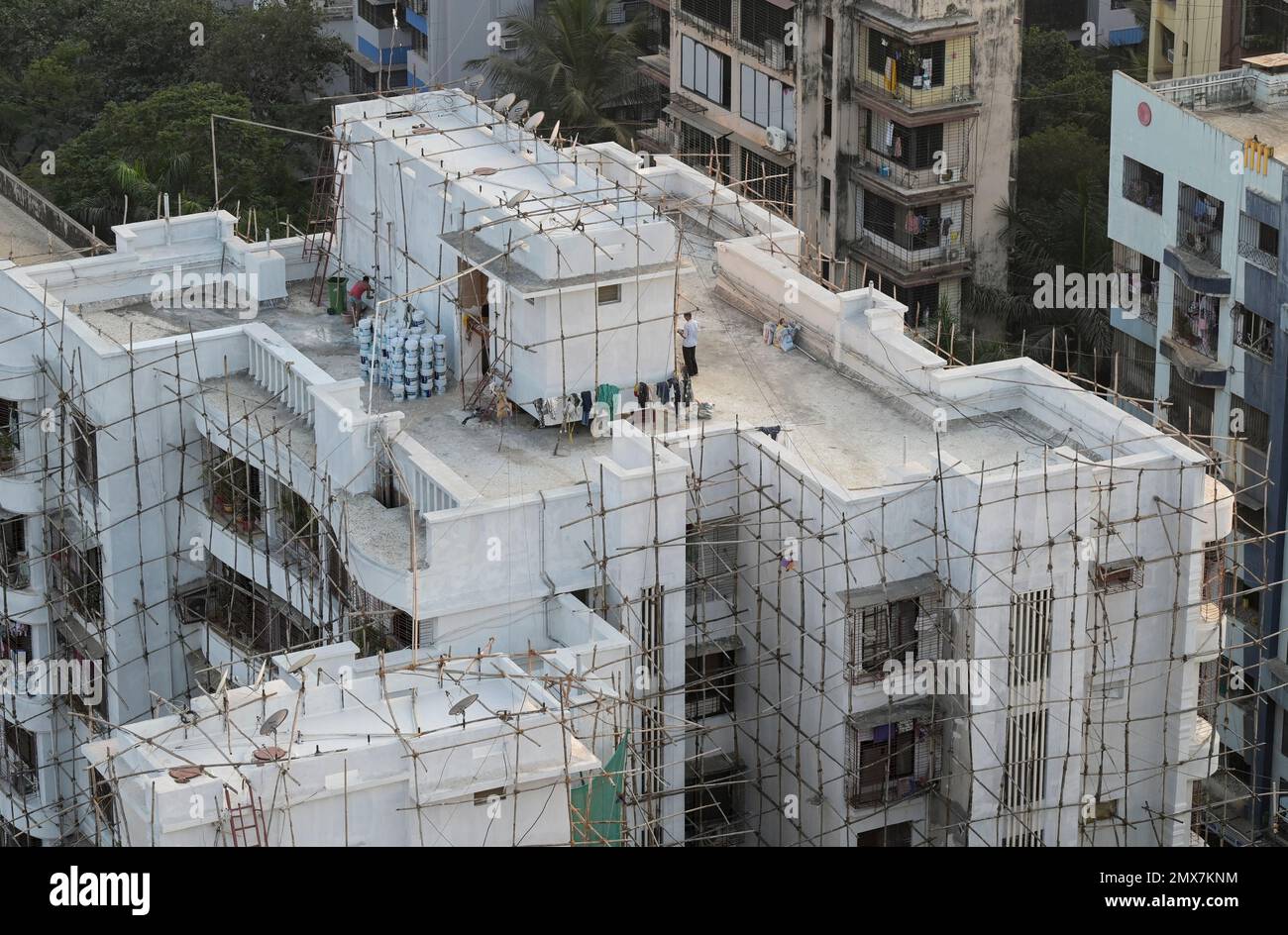 INDIA, Mumbai, apartment tower under renovation, Scaffolding with