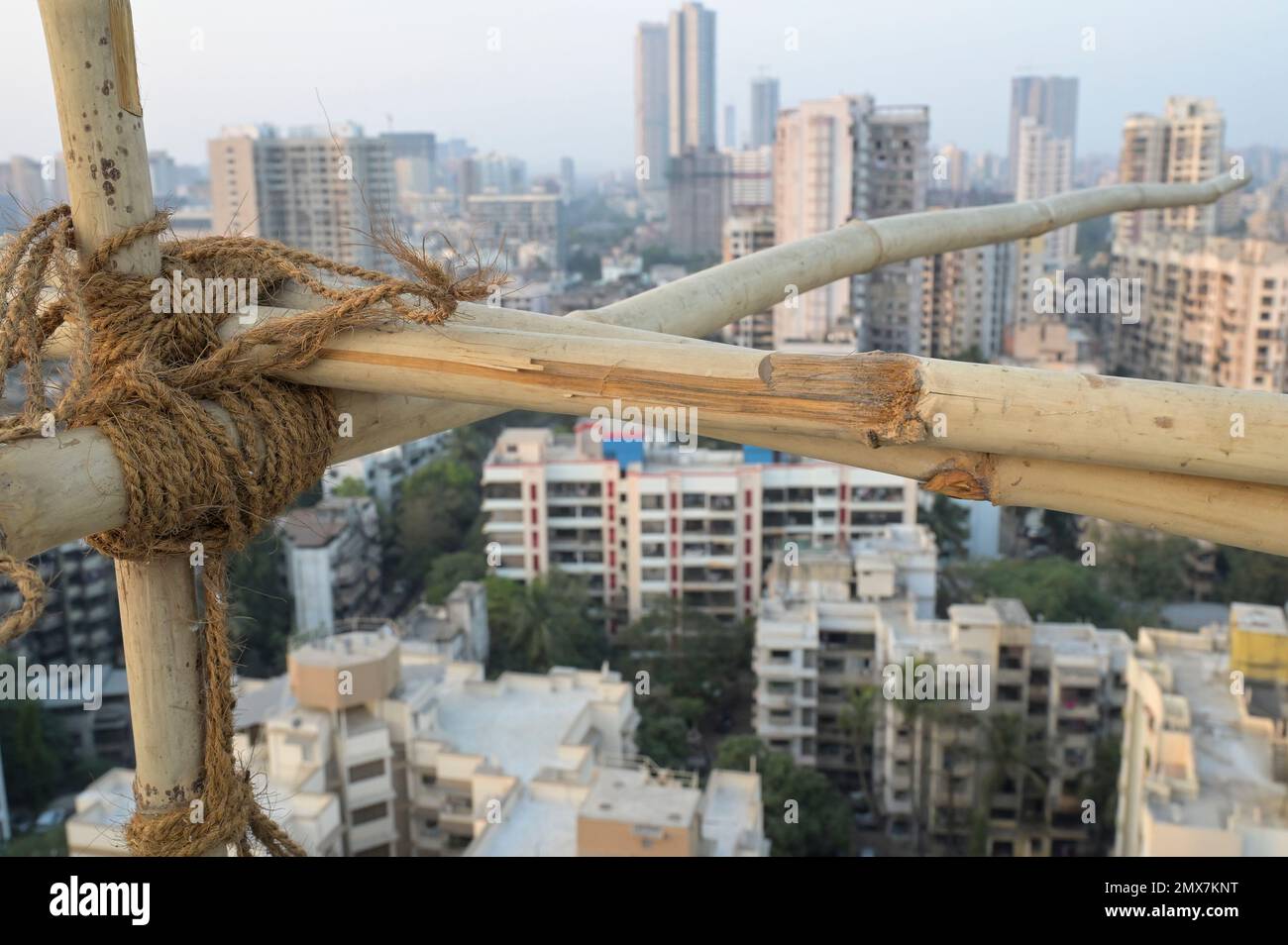 Image showcasing INDIA, Mumbai, apartment tower under renovation, Scaffolding with ...