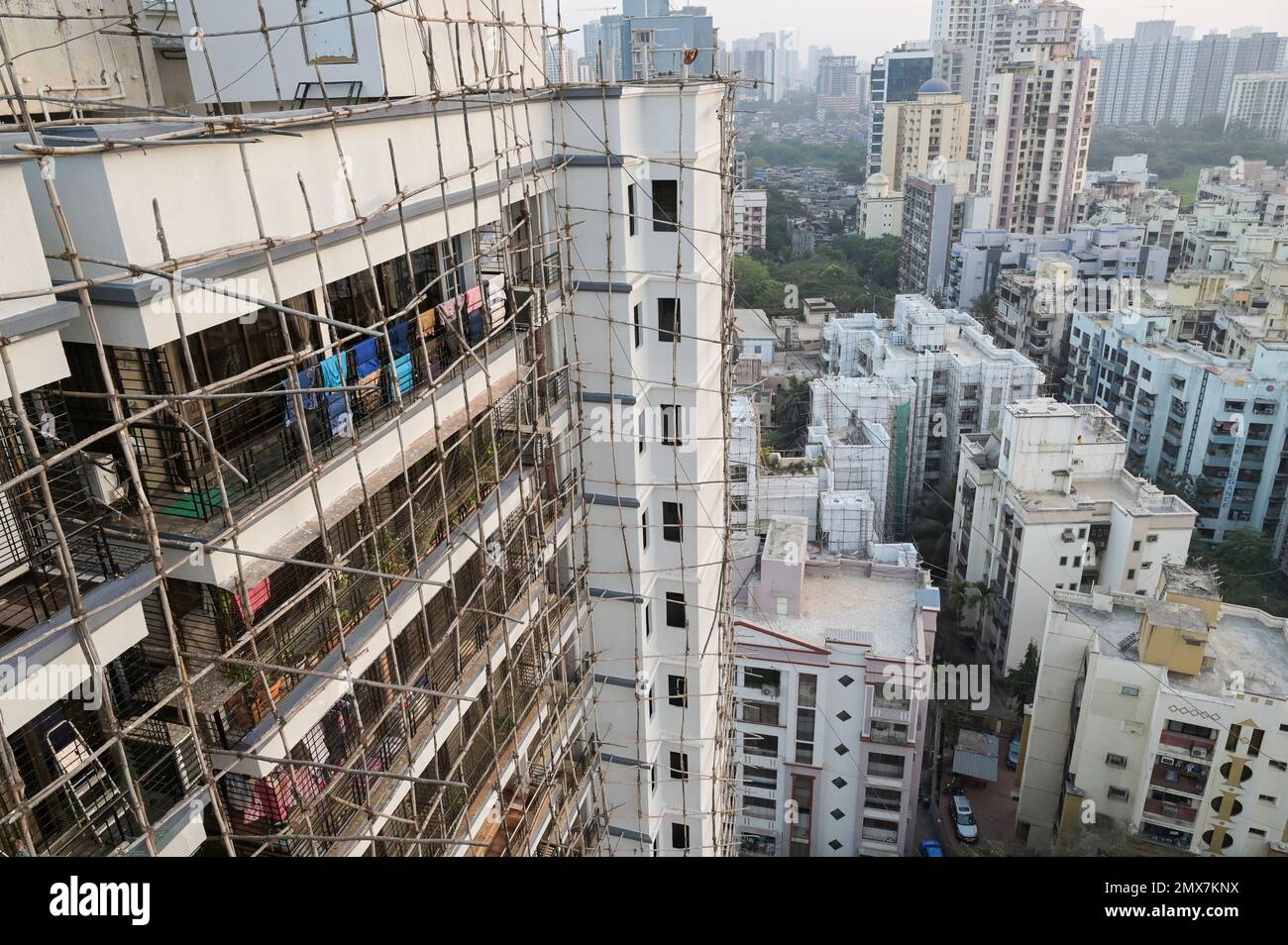 Picture of INDIA, Mumbai, apartment tower under renovation, Scaffolding with ...