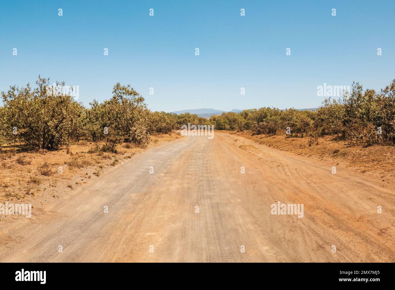 An empty safari rally racing track in Naivasha, Kenya Stock Photo Alamy