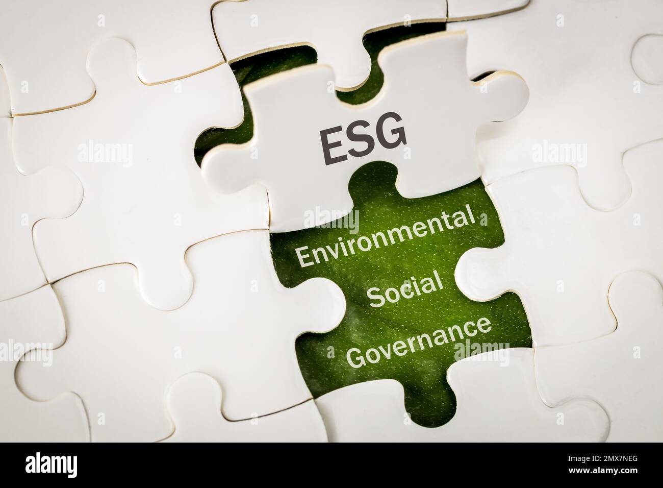 ESG environmental, social and governance concept. ESG words on exposed  puzzle block, Idea for sustainable development of the organization. take  into a Stock Photo - Alamy