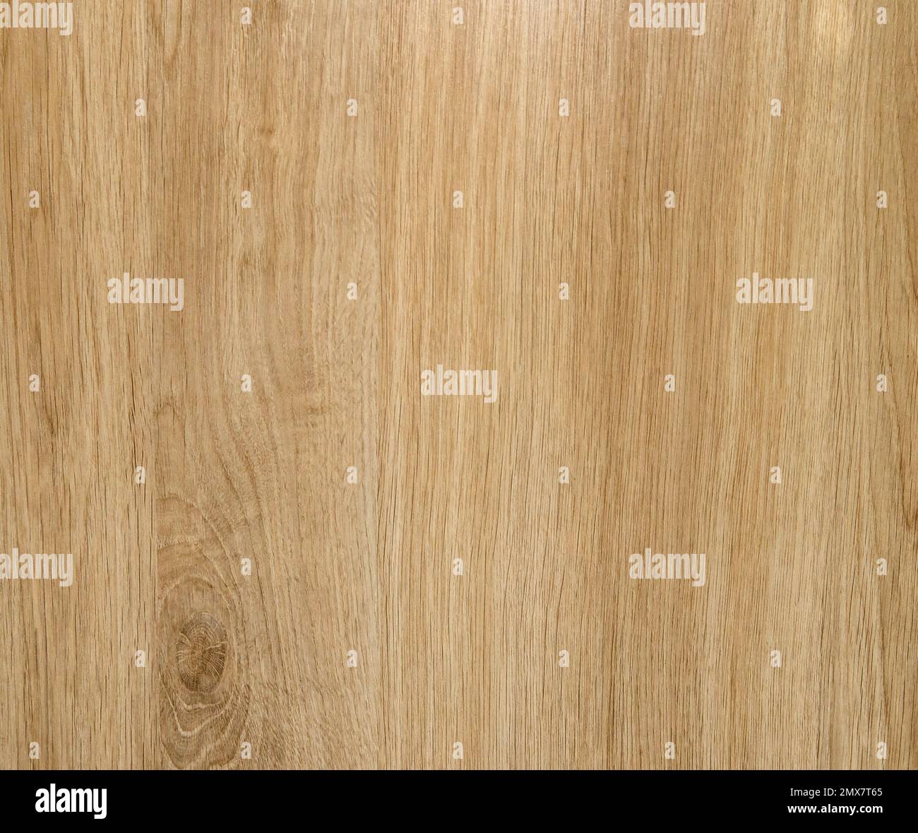texture of light wood panels Stock Photo