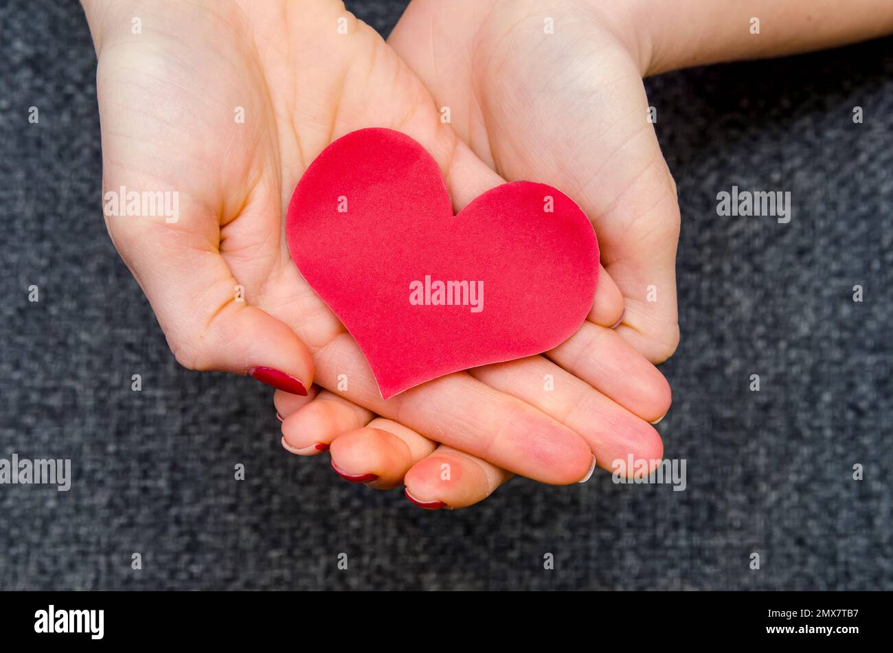 paper hearts on woman hand Stock Photo