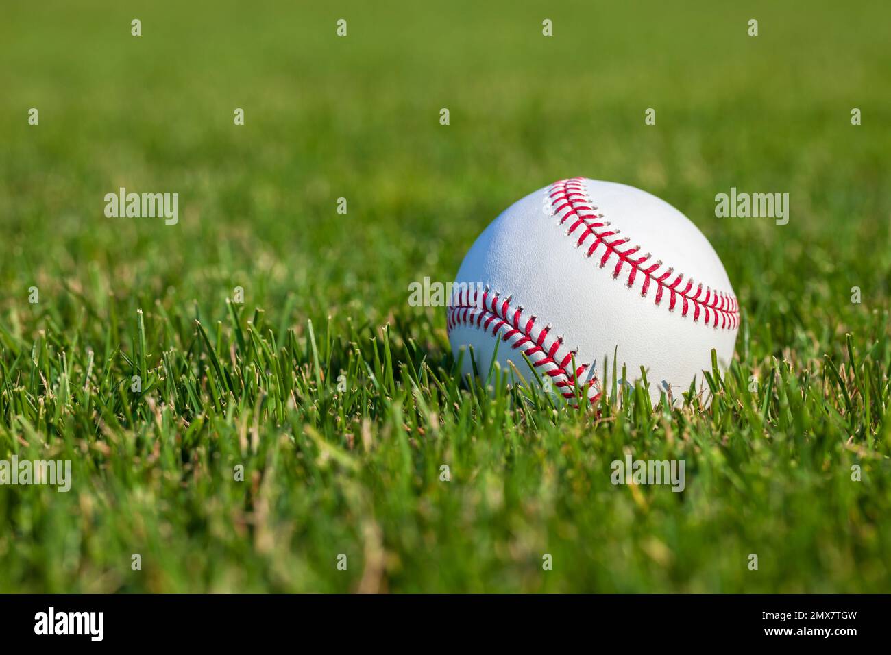 Baseball close up selective focus low angle in the outfield grass at a ballpark Stock Photo
